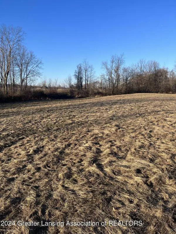 0 Maple Lane Road, Rives Junction, MI 49277, Rives Junction, MI 49277