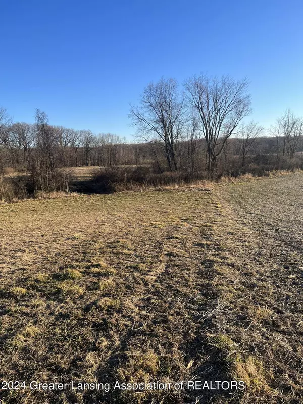 0 Maple Lane Road, Rives Junction, MI 49277, Rives Junction, MI 49277