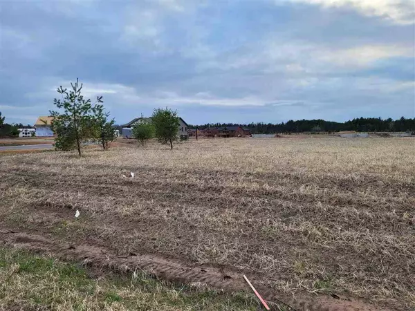 W5800 Brook Trout Court, New Lisbon, WI 53950