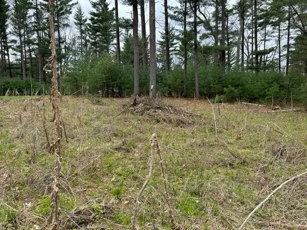 W1558 Buffalo Trail, Lyndon Station, WI 53944