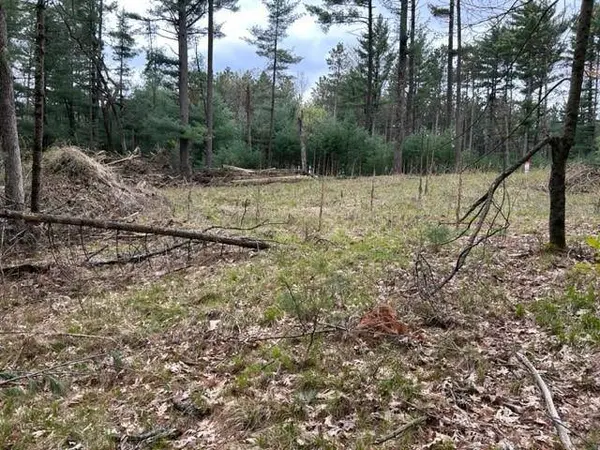 W1558 Buffalo Trail, Lyndon Station, WI 53944