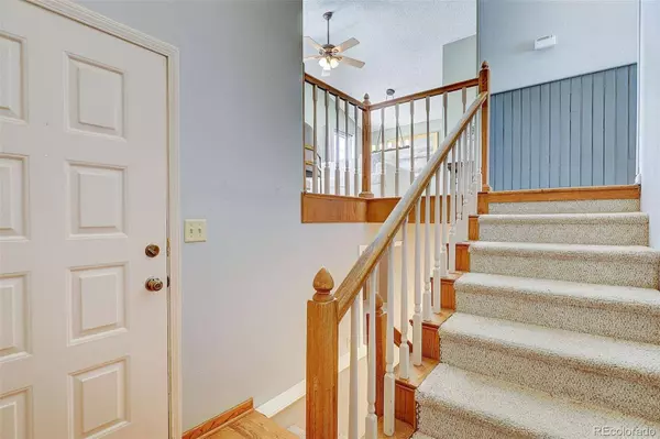 806 Cinnamon CT, Castle Rock, CO 80104