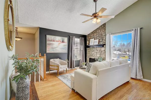 806 Cinnamon CT, Castle Rock, CO 80104