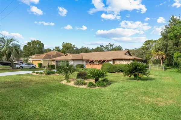 3259 LEMA DR, Spring Hill, FL 34609