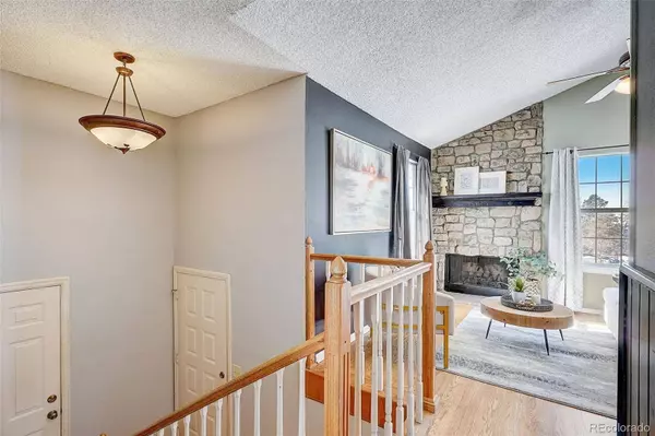 806 Cinnamon CT, Castle Rock, CO 80104