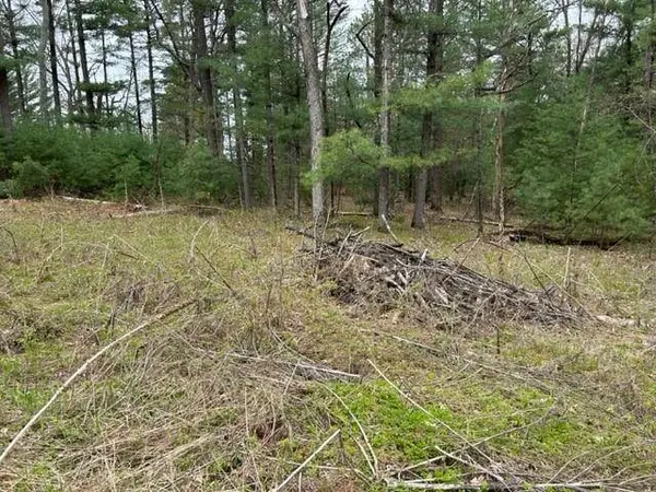 W1558 Buffalo Trail, Lyndon Station, WI 53944