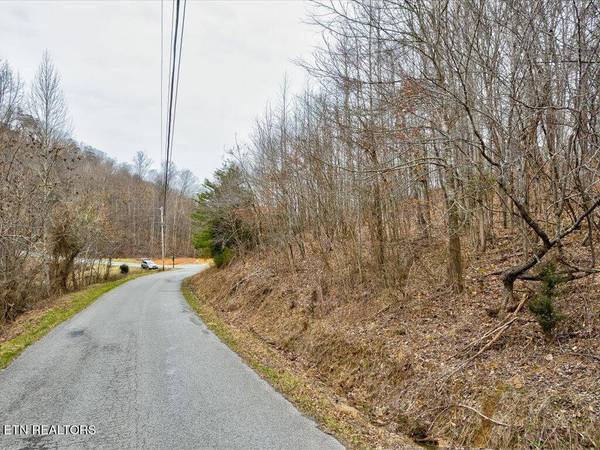 Lot 535 Whistle Valley Rd, New Tazewell, TN 37825