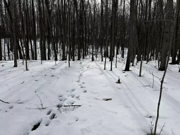 10280 W Remus Road, Remus, MI 49340