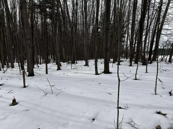 10280 W Remus Road, Remus, MI 49340