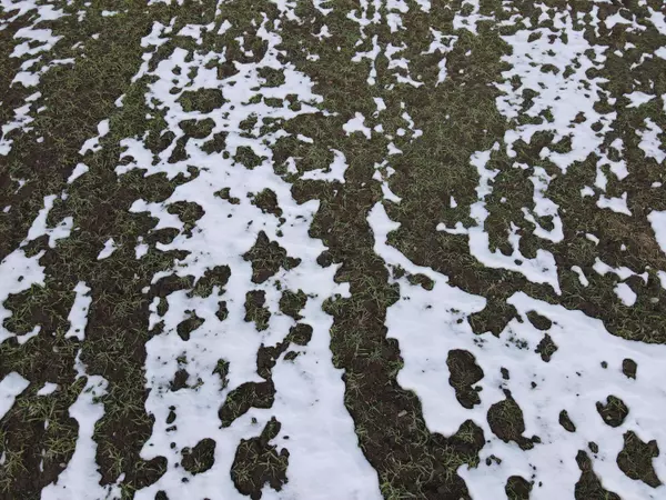 10280 W Remus Road, Remus, MI 49340