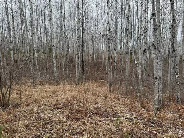 80 acres Tar Paper Alley, Brule, WI 54820