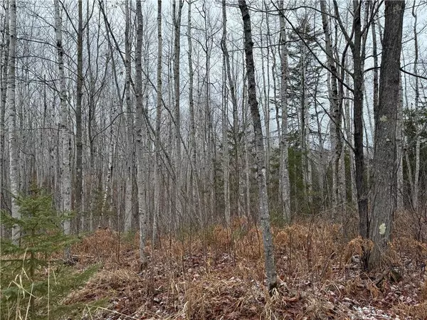 80 acres Tar Paper Alley, Brule, WI 54820