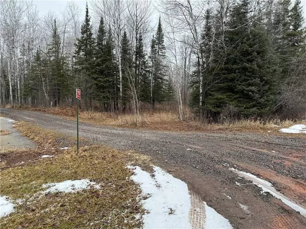 80 acres Tar Paper Alley, Brule, WI 54820