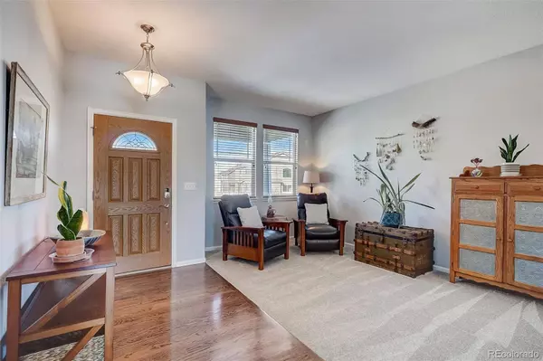 645 Springvale RD, Castle Rock, CO 80104