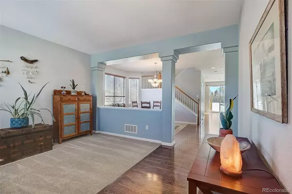 645 Springvale RD, Castle Rock, CO 80104