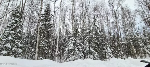 3252 N Gunflint Trail DR, Wasilla, AK 99623