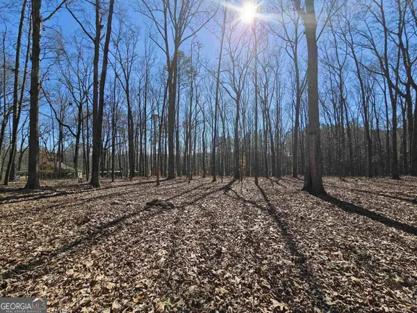 13458 Panhandle RD, Hampton, GA 30228