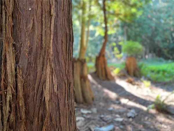 Lt 16 Sitka Grove, Gabriola Island, BC V0R 1X1