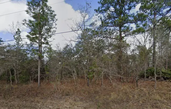 EADOM AVE, Brooksville, FL 34614