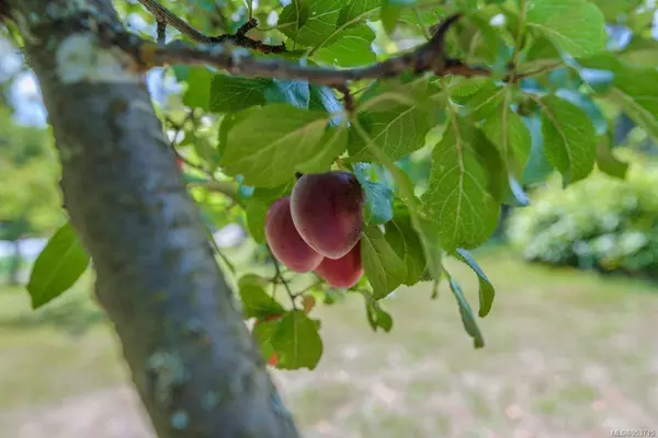 1905 Martin Rd, Gabriola Island, BC V0R 1X7