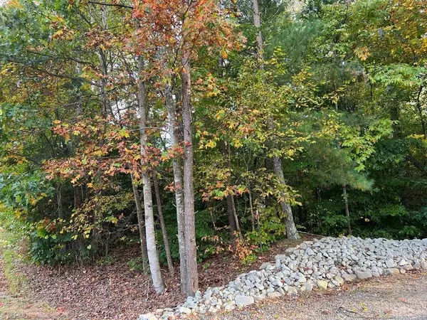 00 Gloria DR #Lot 6 plus 4.63 Ac, Mount Airy, NC 27030