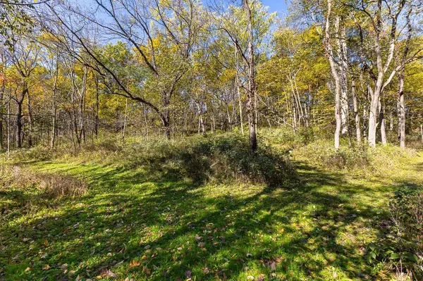 TBD W Schapville Road, Scales Mound, IL 61075