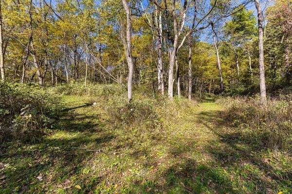 TBD W Schapville Road, Scales Mound, IL 61075