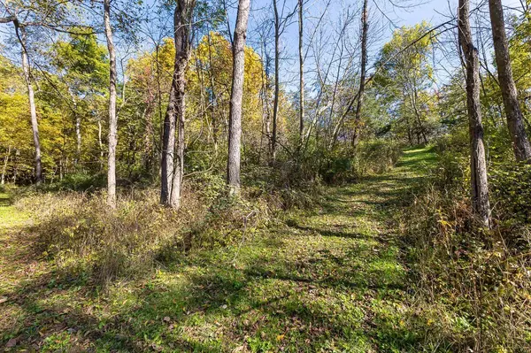 TBD W Schapville Road, Scales Mound, IL 61075