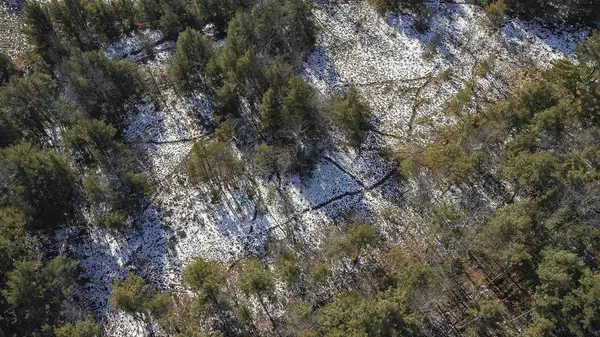 W513 CTH HH, Warrens,warrens, WI 54666