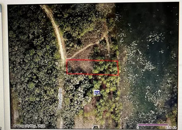 34254 BERRYHILL DR, Webster, FL 33597