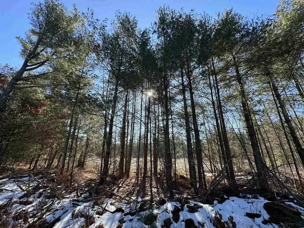 W513 CTH HH, Warrens,warrens, WI 54666