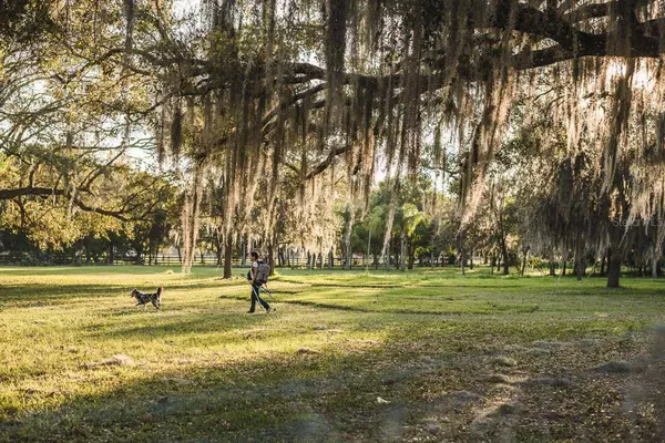 5951 SW CARLTON AVE, Arcadia, FL 34266