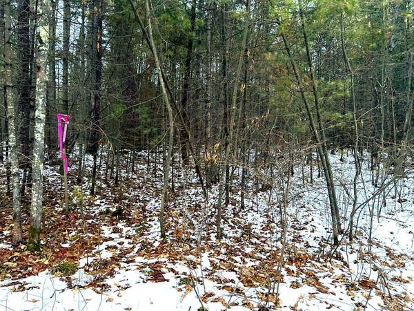 2725 DAM RD, Eagle River, WI 54521