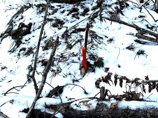 2725 DAM RD, Eagle River, WI 54521