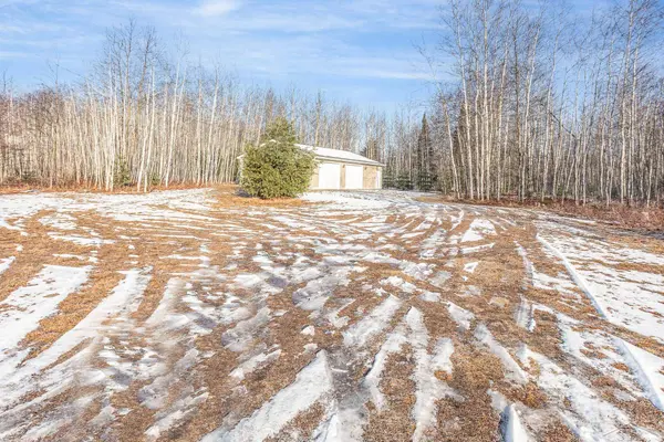 6428 Turtle Rd Road, Whittemore, MI 48770