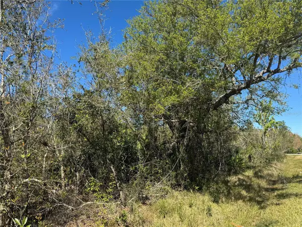 10039 SW JUDY AVE, Arcadia, FL 34269