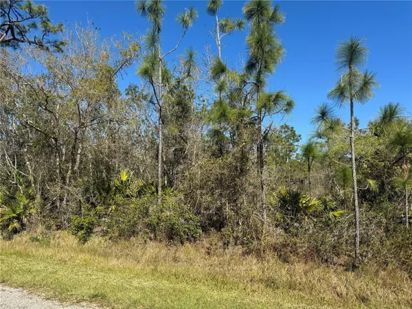 10039 SW JUDY AVE, Arcadia, FL 34269