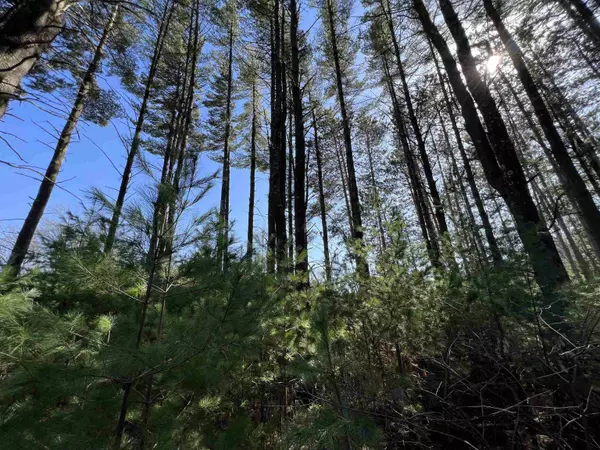 W5970 Driftwood Lane, New Lisbon, WI 53950