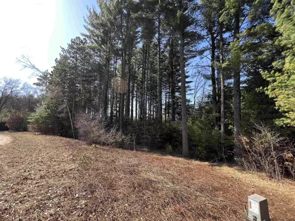 W5970 Driftwood Lane, New Lisbon, WI 53950