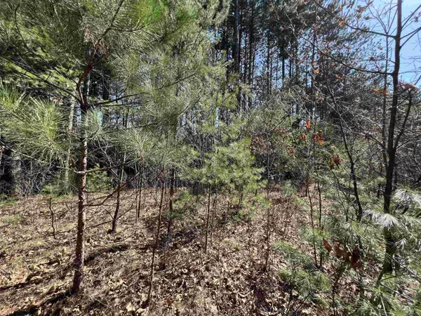 W5970 Driftwood Lane, New Lisbon, WI 53950