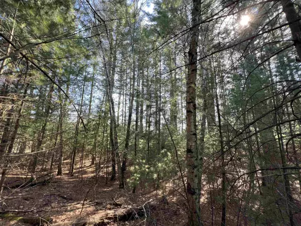 W5970 Driftwood Lane, New Lisbon, WI 53950