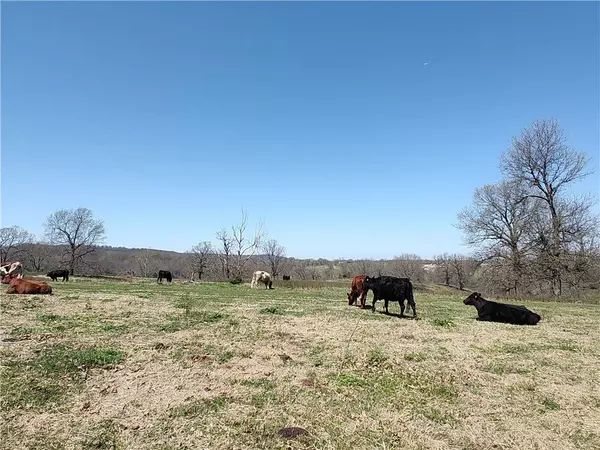 Hewitt Springs Rd, Springdale, AR 72764