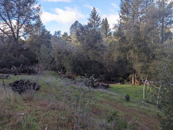 8575 Cave City RD, Mountain Ranch, CA 95246