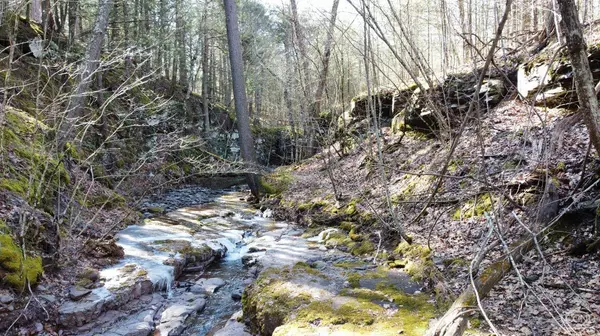 0 Blackhead Mountain RD, Round Top, NY 12413