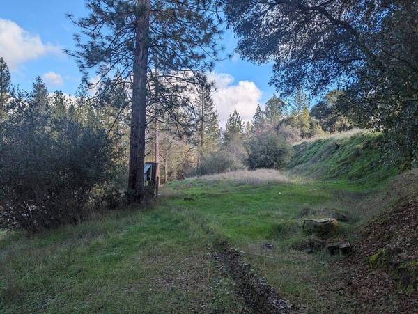 8575 Cave City RD, Mountain Ranch, CA 95246