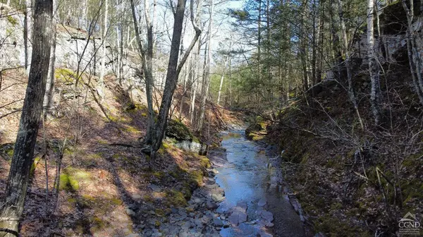 0 Blackhead Mountain RD, Round Top, NY 12413