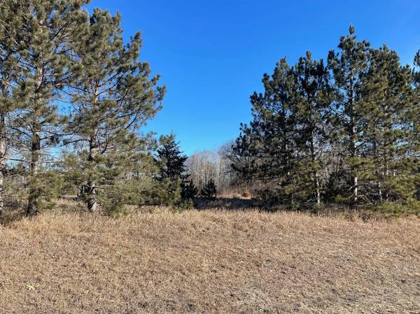 TBD 12th ST SW, Pine River, MN 56474