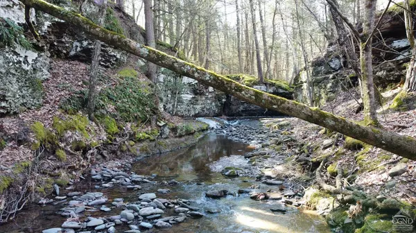 0 Blackhead Mountain RD, Round Top, NY 12413