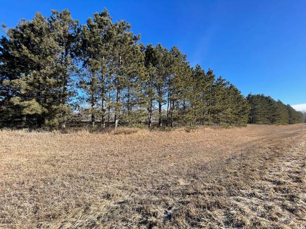 TBD 12th ST SW, Pine River, MN 56474