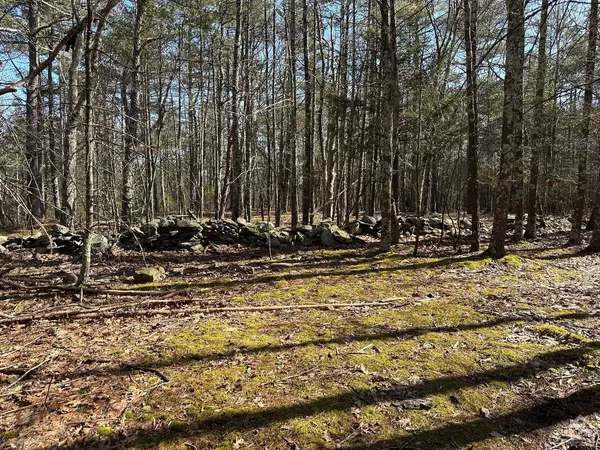 0 Blackhead Mountain RD, Round Top, NY 12413